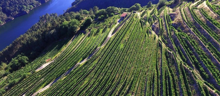 Una historia de agua y vino